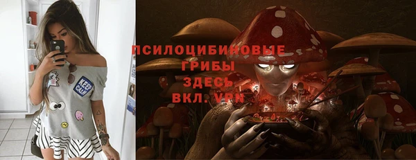 шишки Абаза