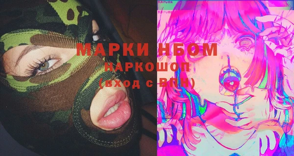индика Абинск