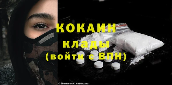 индика Абинск