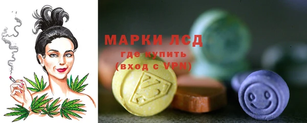 индика Абинск