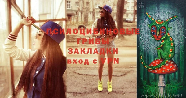 шишки Абаза