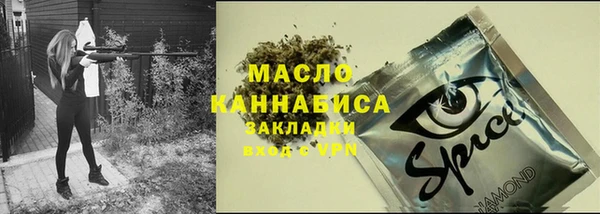 индика Абинск
